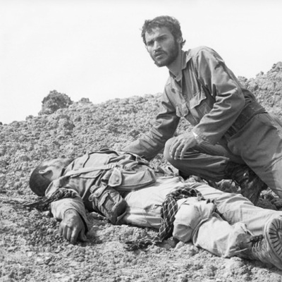 نمایشگاه «جلوه پایداری» در نگارگذر فرهنگ قم