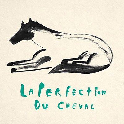 تصویرسازی های پویا عباسیان