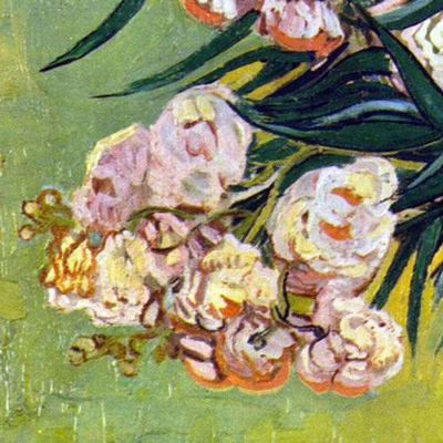 گلهای خرزهره