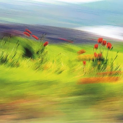 افتتاح گالری آبان با نمایشگاه عکس«رنگ... غزل... باران»